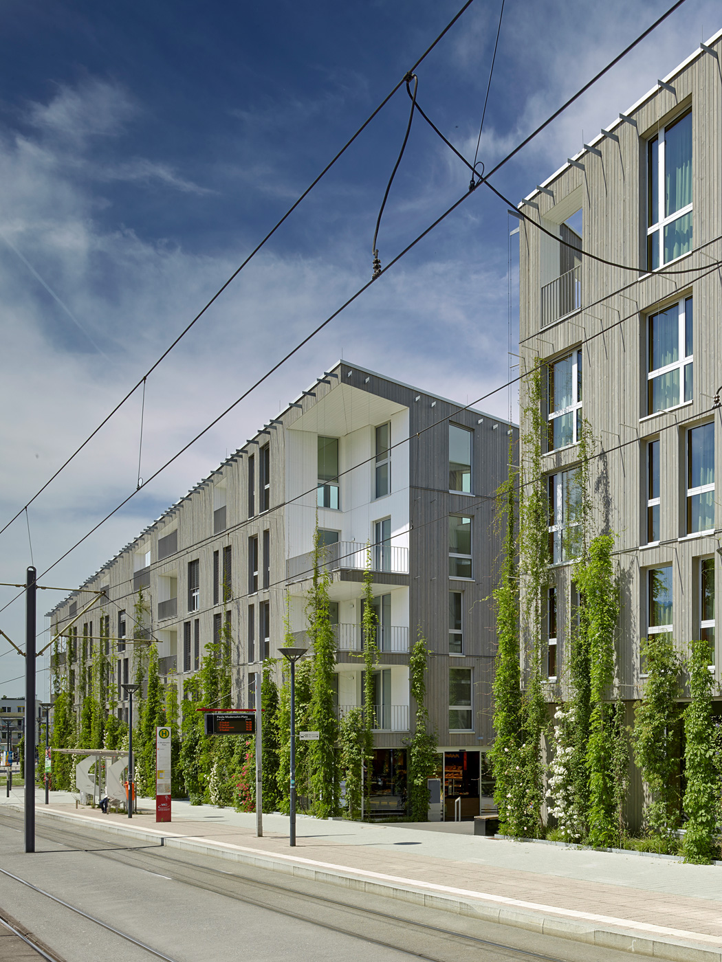 showcase: stadthaus m1barkow leibinger | features | archinect showcase: stadthaus m1barkow leibinger | features | archinect